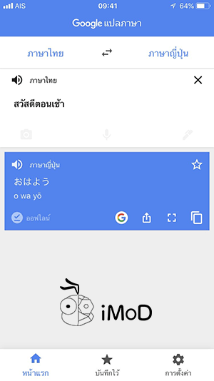 How To Use Google Tranlslate Offline Ios 3