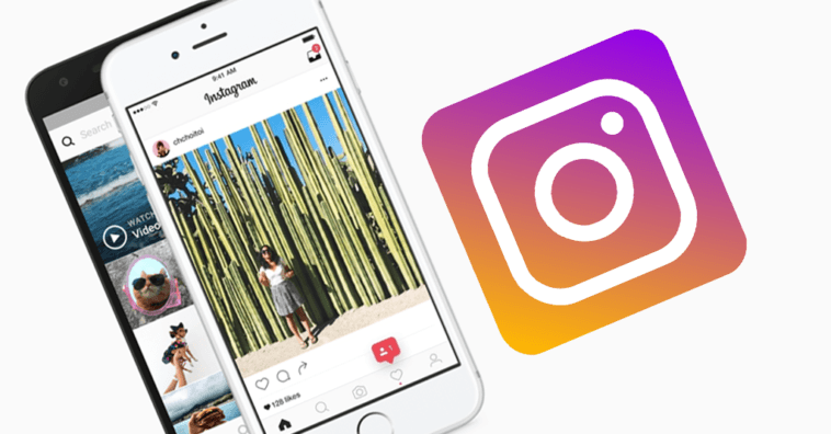 Instagram Feed Post New Algorithm