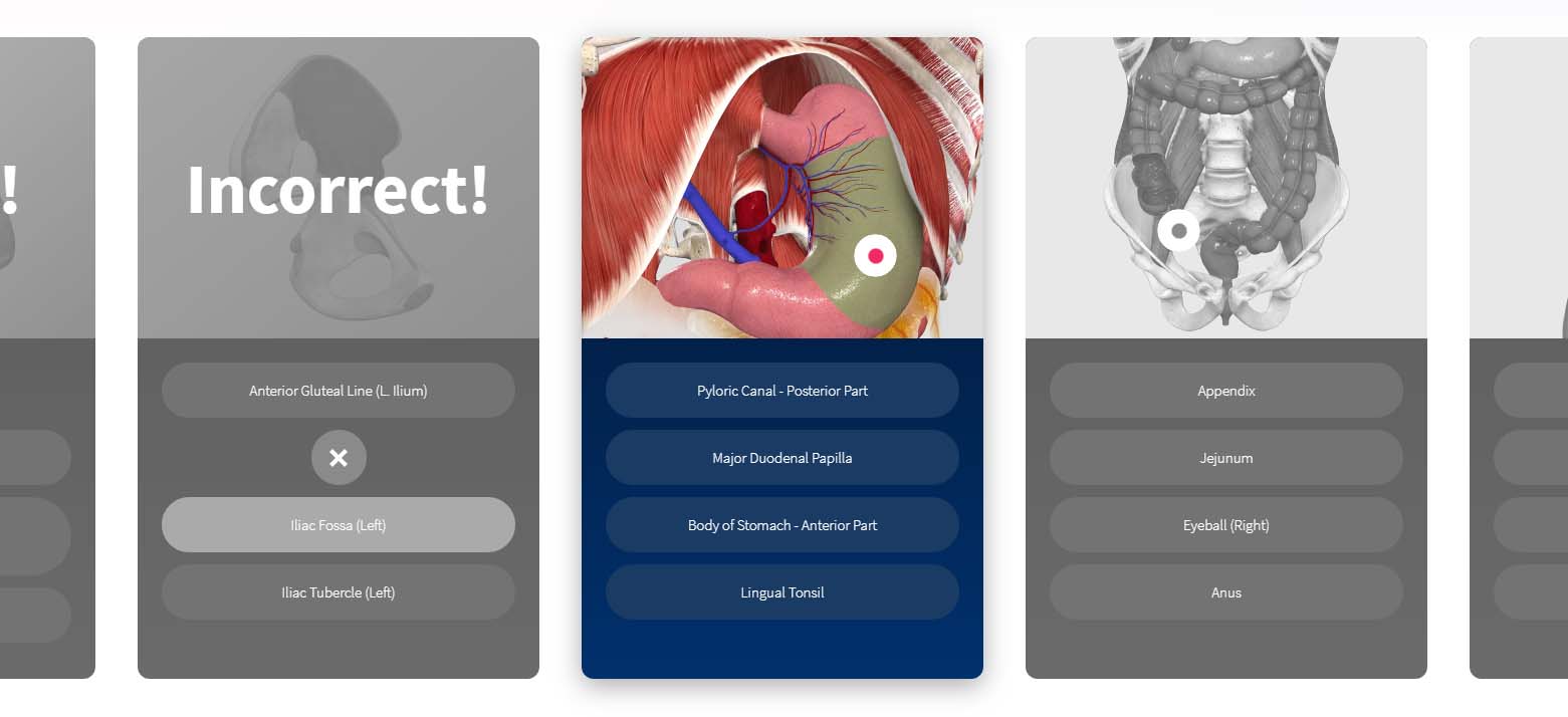 App Quiz Antomy Content1