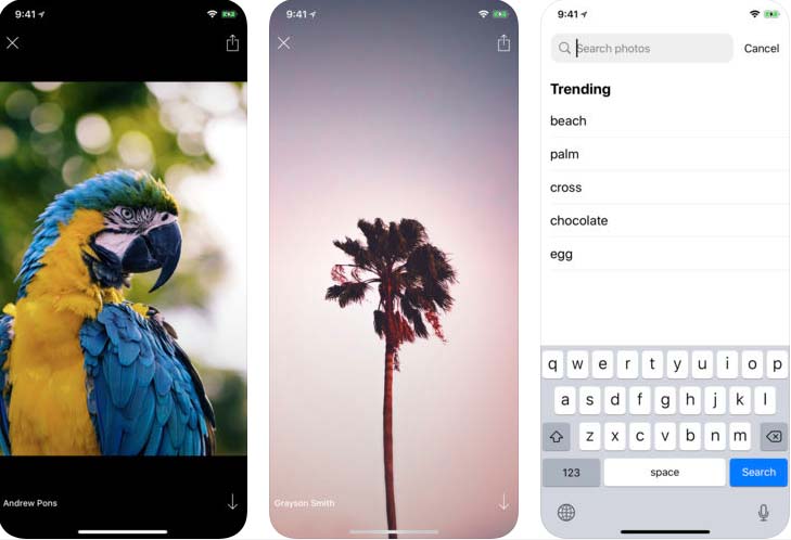 App Unsplash Content2