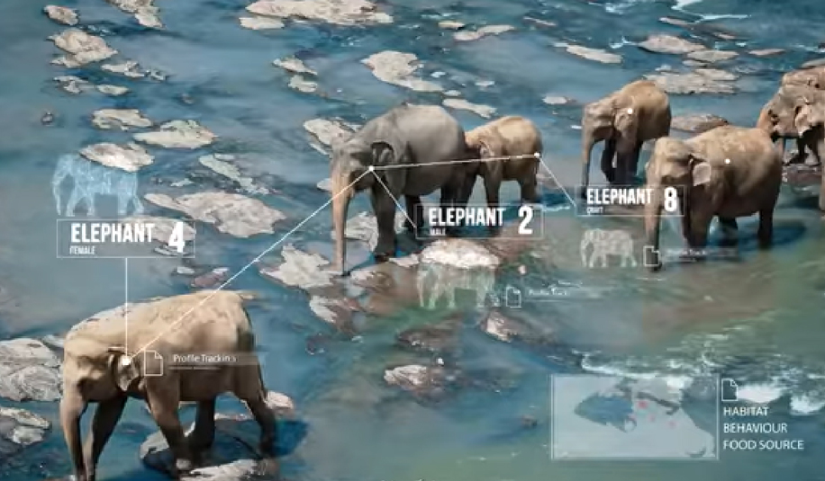 True Iot The Futhur Is Real 5