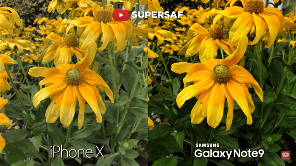 Iphone X Vs Galaxy Note 9 Camera Compare 13