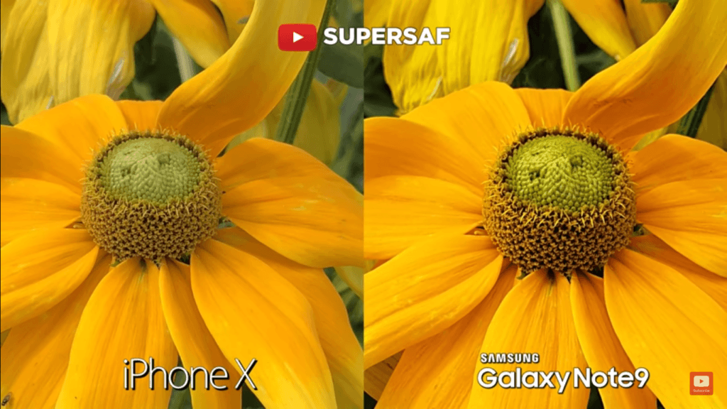 Iphone X Vs Galaxy Note 9 Camera Compare 14