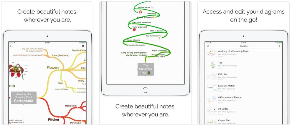 Mind Map Diagram App Coggle 1