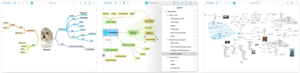 Mind Map Diagram App Simplemind 1