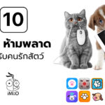 10 App Manage Dog And Cat