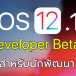 Ios 12 1 Developer Beta 3 Seed