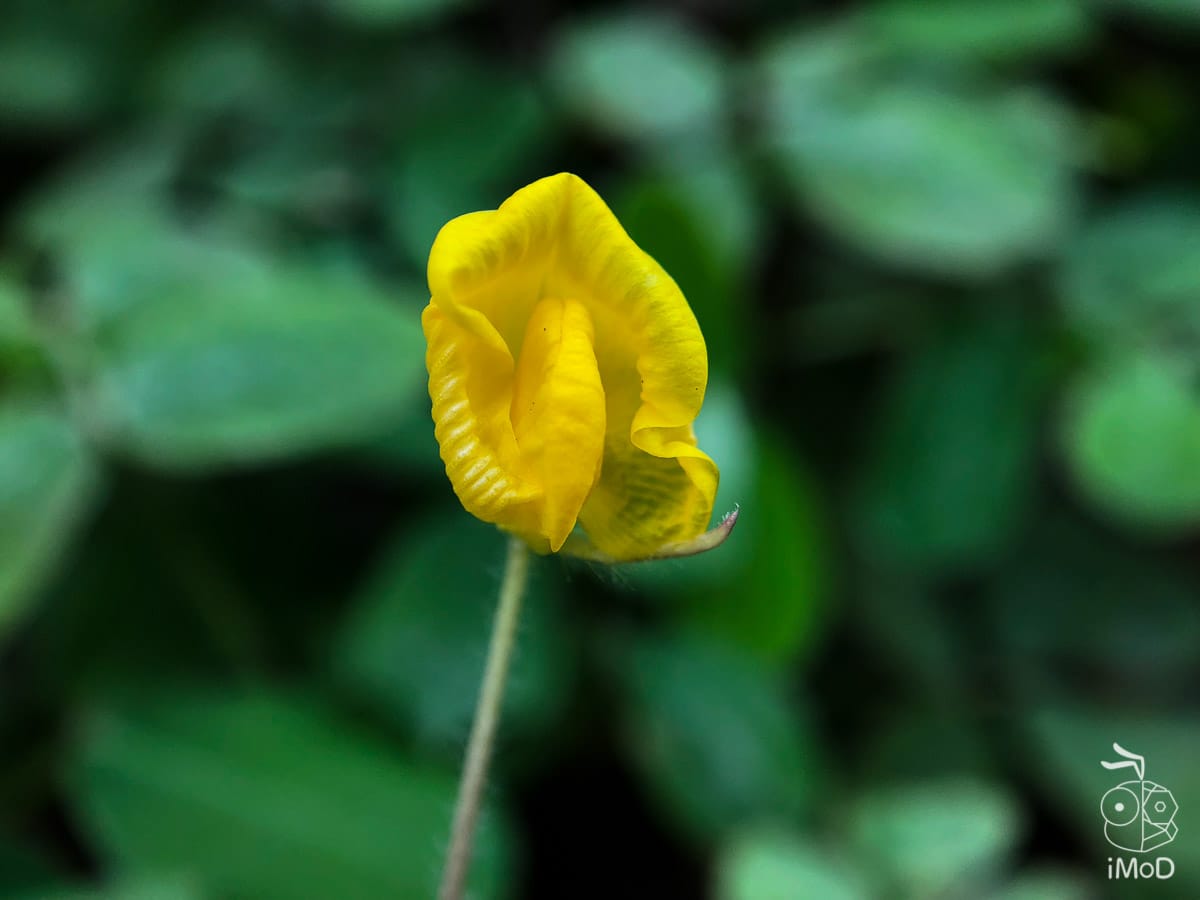 Ztylus Revolver M Series Iphone X Review 1115