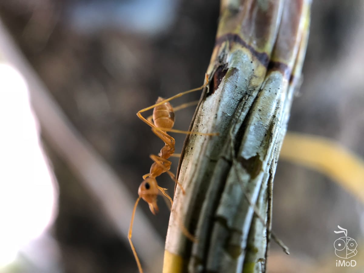 Ztylus Revolver M Series Iphone X Review 1163