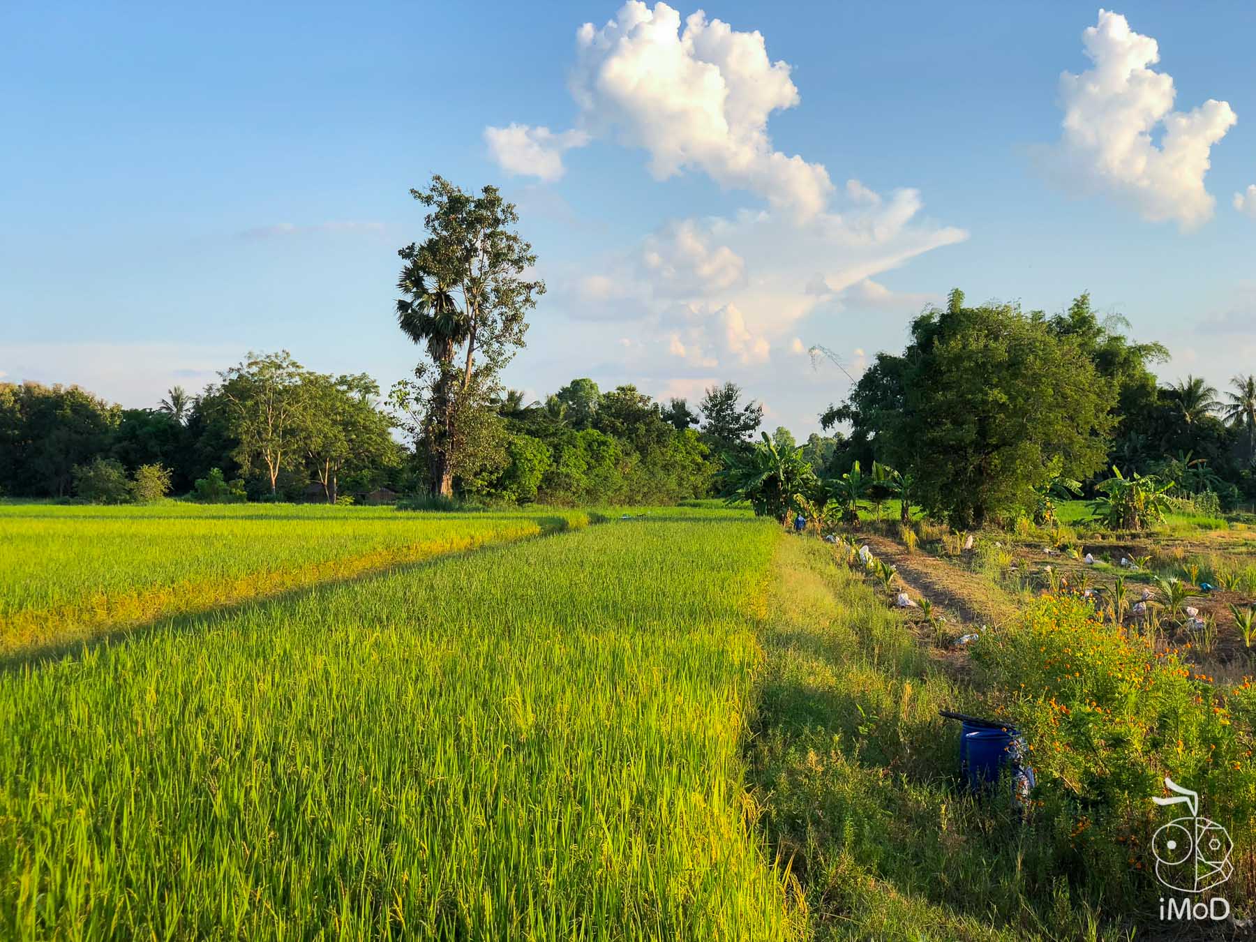 Ztylus Revolver M Series Iphone X Review 2x