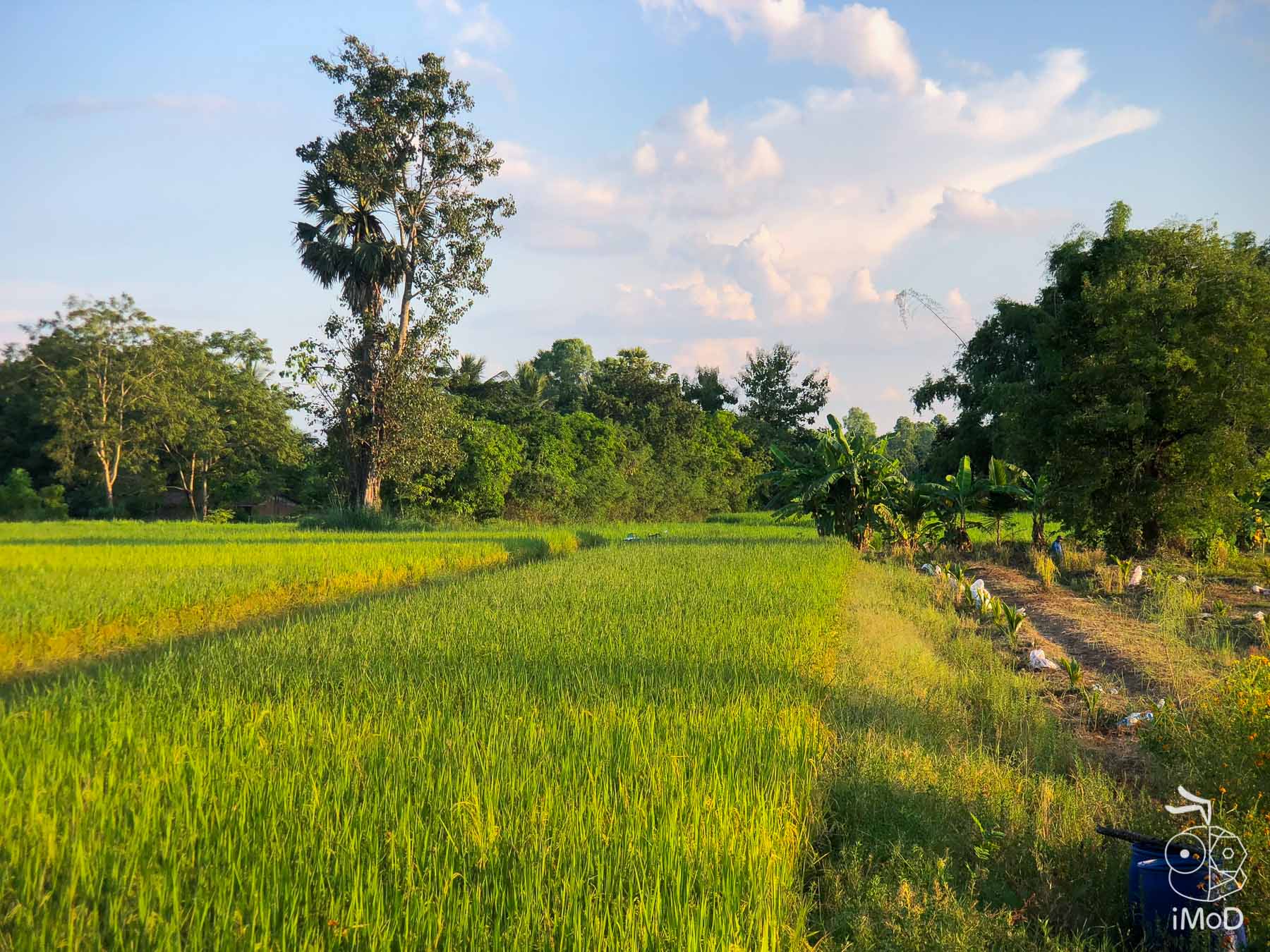 Ztylus Revolver M Series Iphone X Review Telephoto