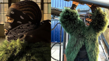 Perfect Portrait Apple Igtv