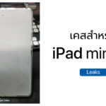 Ipad Mini 5 Case Leaks Photo