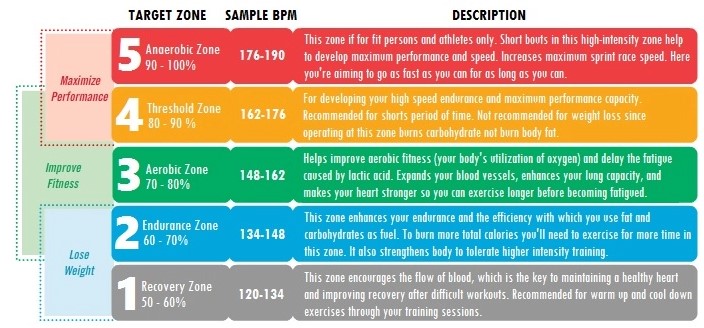 Zonal Exercise ออกกำลังกายคุมโซน ด้วยแอป Zones for Training