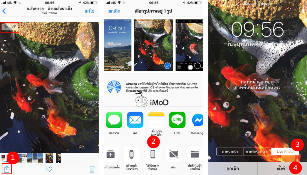 How To Shoot Live Photos To Set As Wallpaper 2