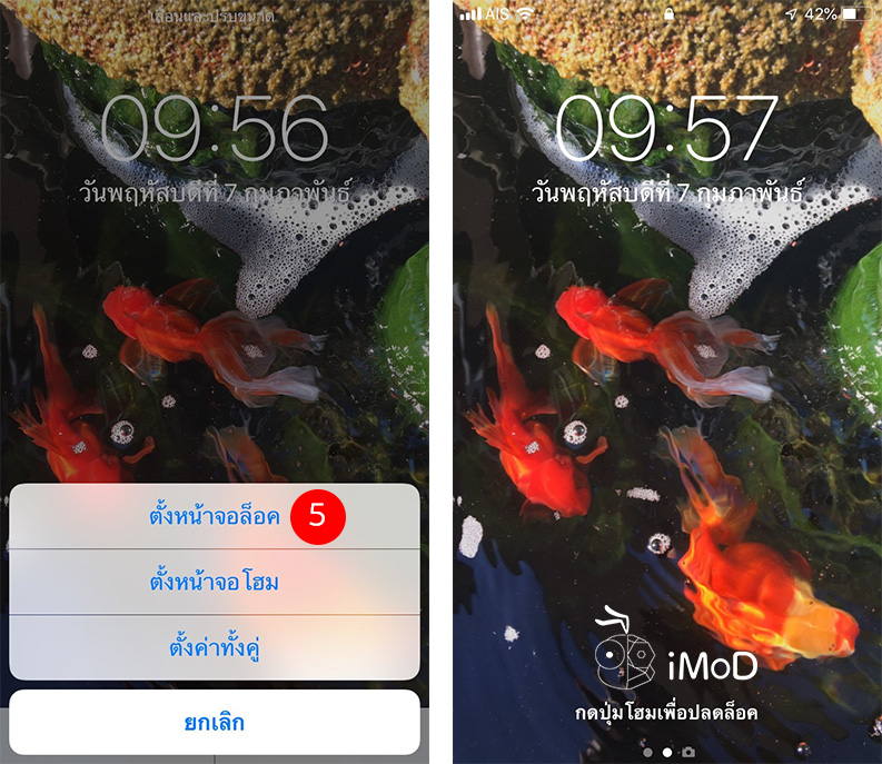 How To Shoot Live Photos To Set As Wallpaper 3