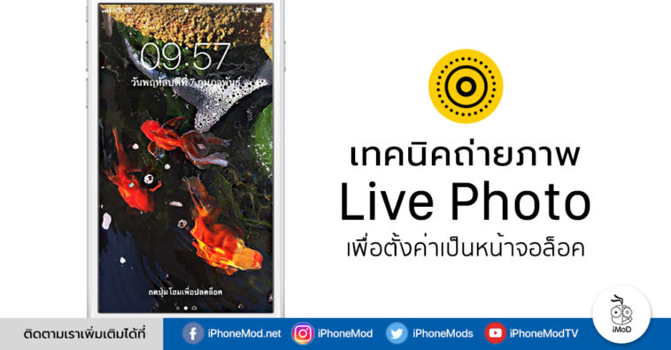 How To Shoot Live Photos To Set As Wallpaper