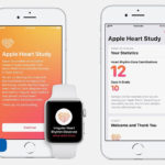 Apple Standford Apple Watch Heart Study Results