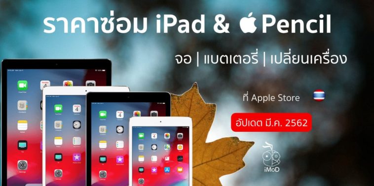 Ipad Apple Pencil Repair Mar 2019 Price Update