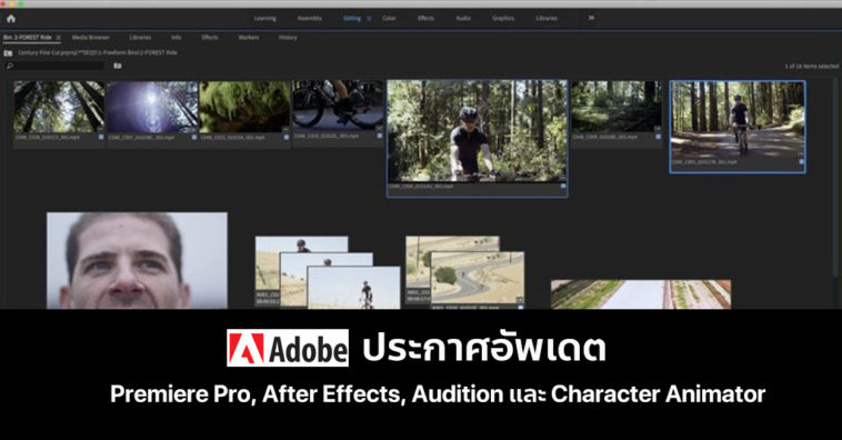 Cover Adobe