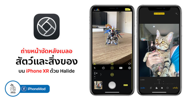 How To Take Portrait Mode With Things Pet On Iphone Xr By Halide Cover