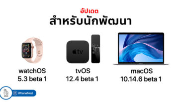 Watchos 5 3 Beta 1 Tvos 12 4 Beta 1 Macos 10 14 6 Beta 1 Seed