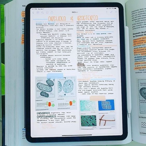 3fd6b8bfdb24fc132f166bf5d791e25a