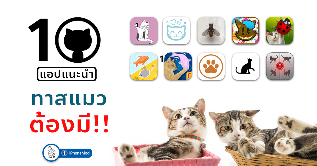 free Catsxp 3.8.2 for iphone download