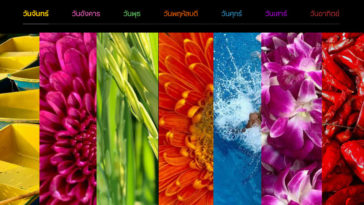 Apple Sawasdee Shot On Iphone