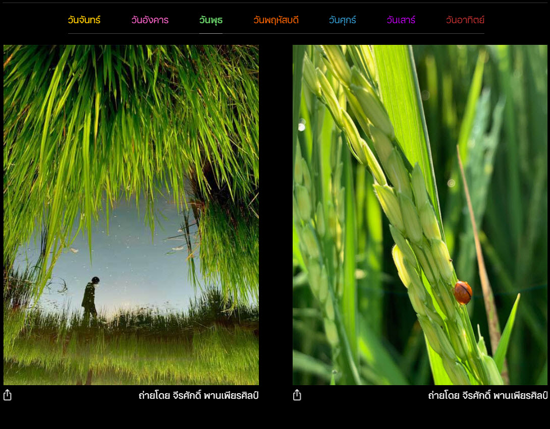 Apple Sawasdee Shot On Iphone Img 4