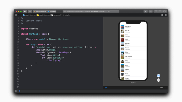 Swiftui Ui Framwork For Developer 1
