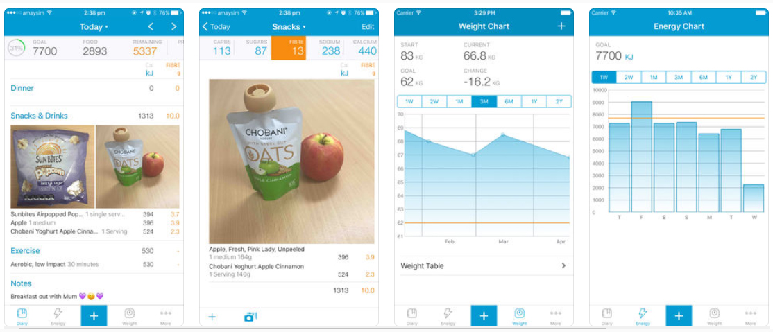 18 Easy Diet Diary
