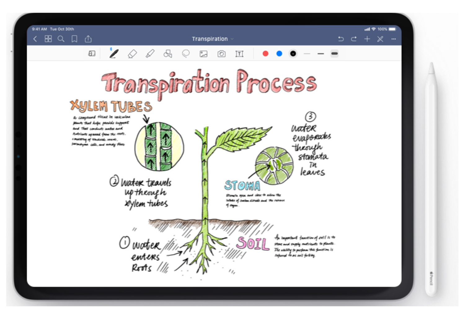 Notes By Ipad 2