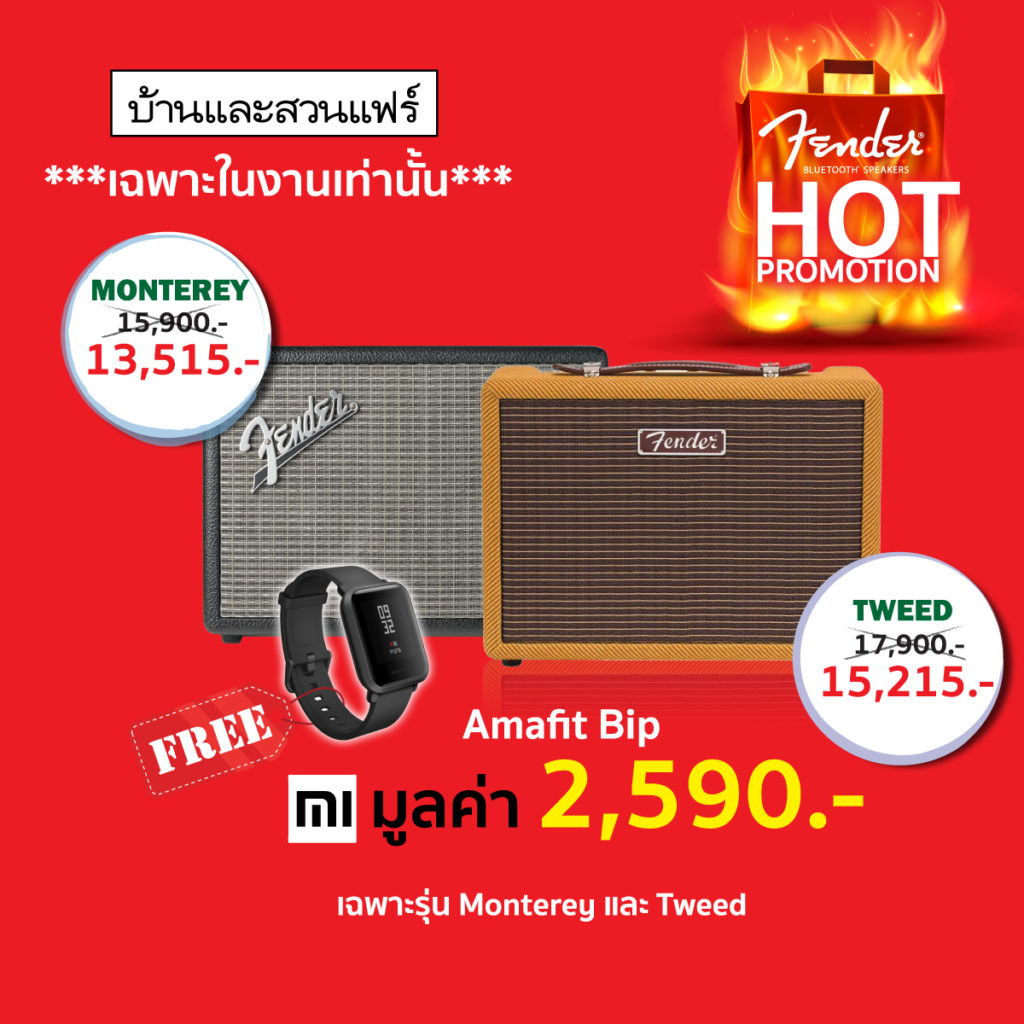 Fender Thailand Promotion Baan Lae Suan Fair 2019 1