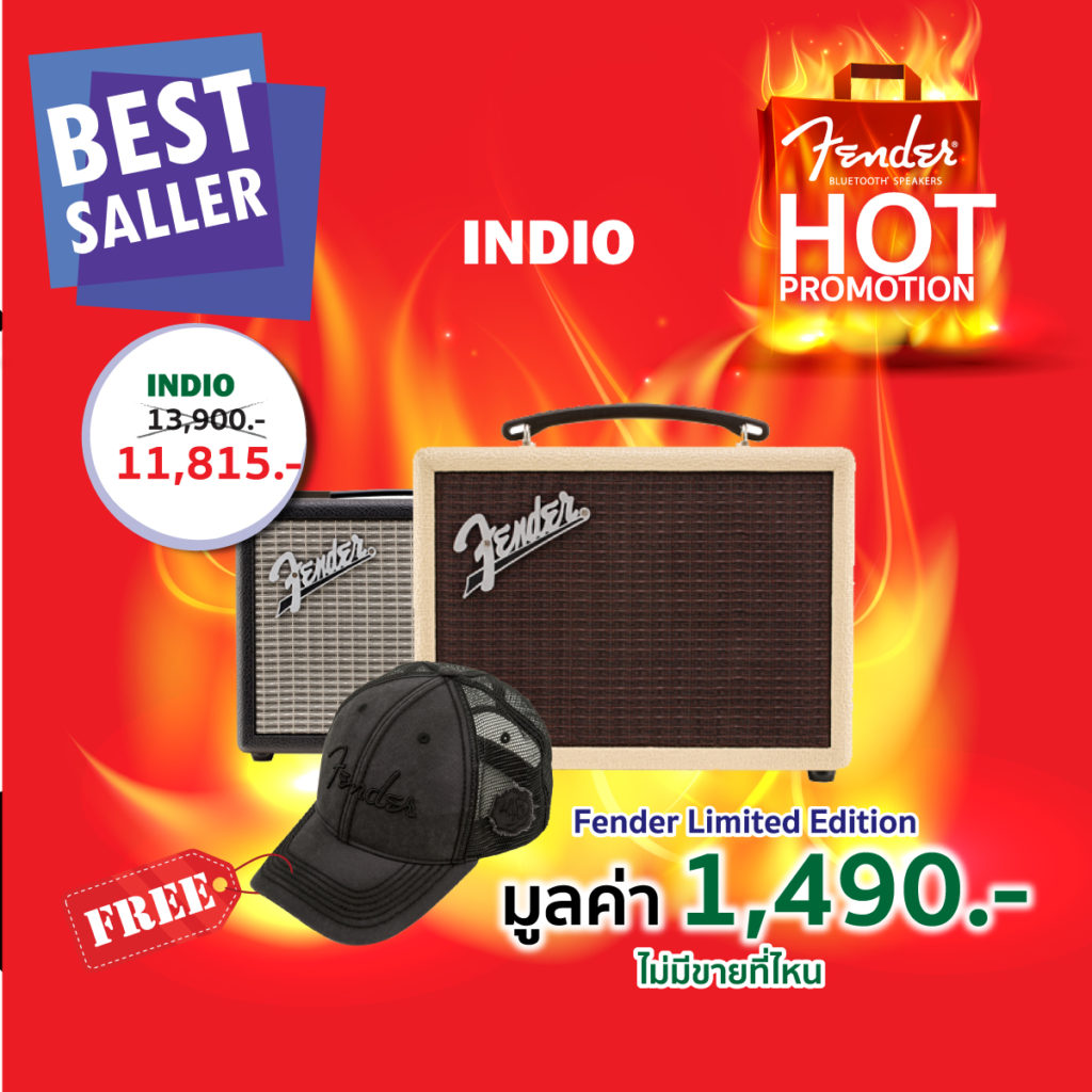 Fender Thailand Promotion Baan Lae Suan Fair 2019 2