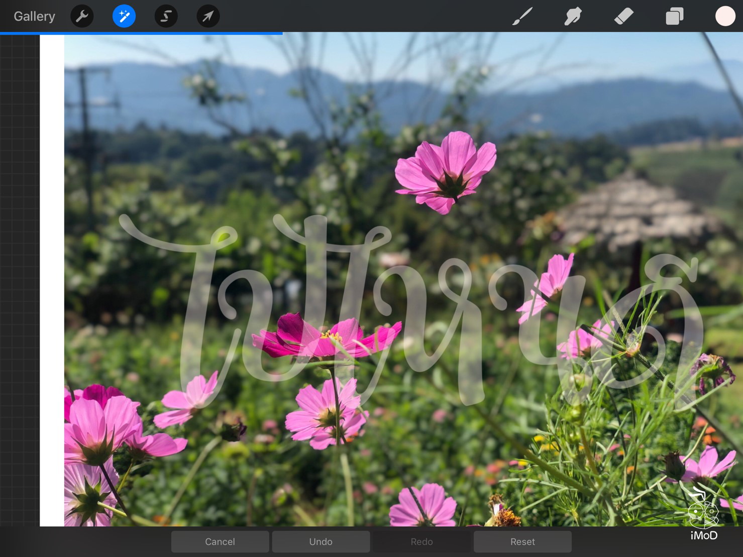 How To Behind Text And Picture 09