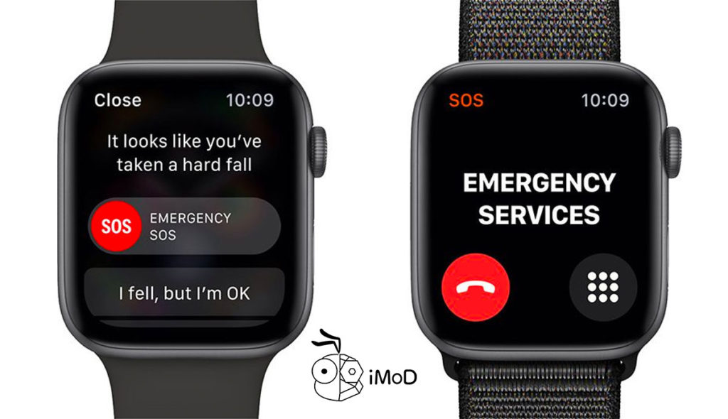 Apple Watch Health Feature 1
