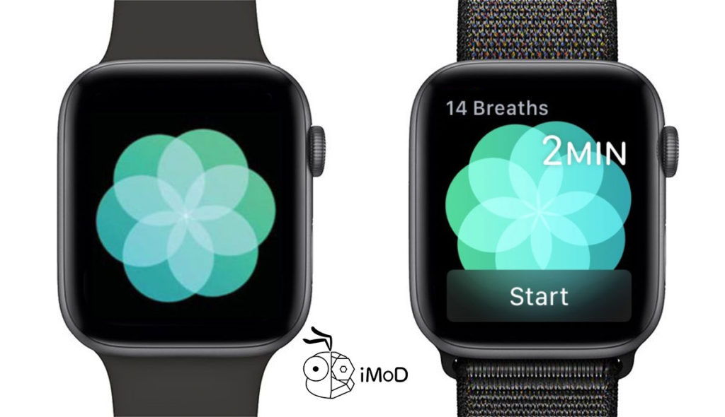 Apple Watch Health Feature 4