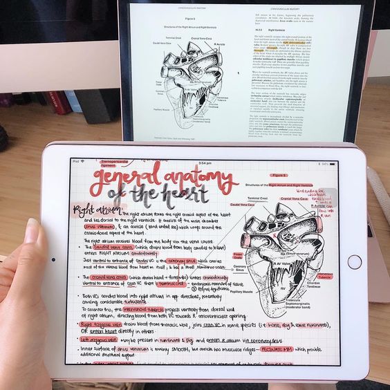 Idear Template Goodnotes 06