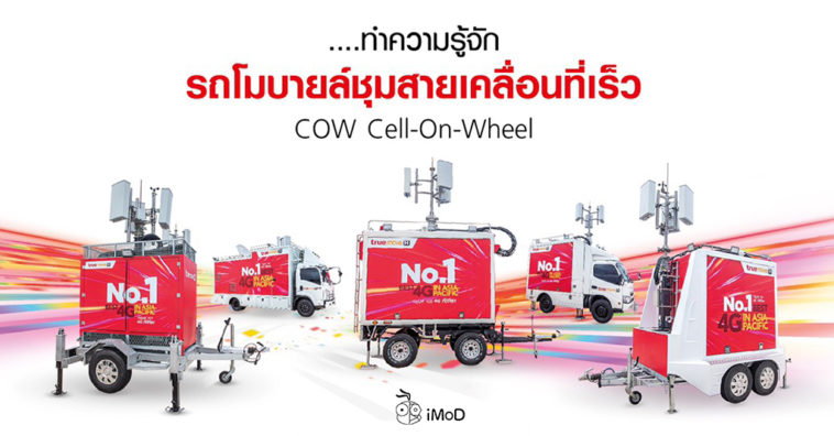 Cover Cow Cell On Wheel