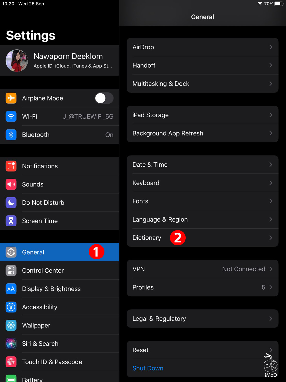How To Use Feture Dictionary Ipados 04