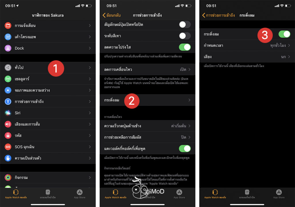 How To Enable Chimes Apple Watch Watchos 6 4