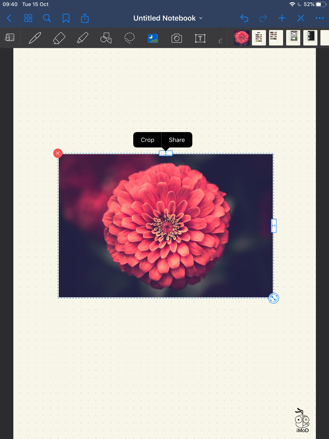 04 How To Quick Import Image Goodnotes 5