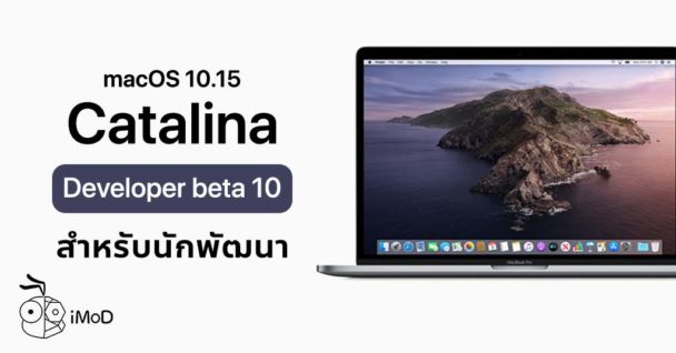 macos catalina 10.15. steam