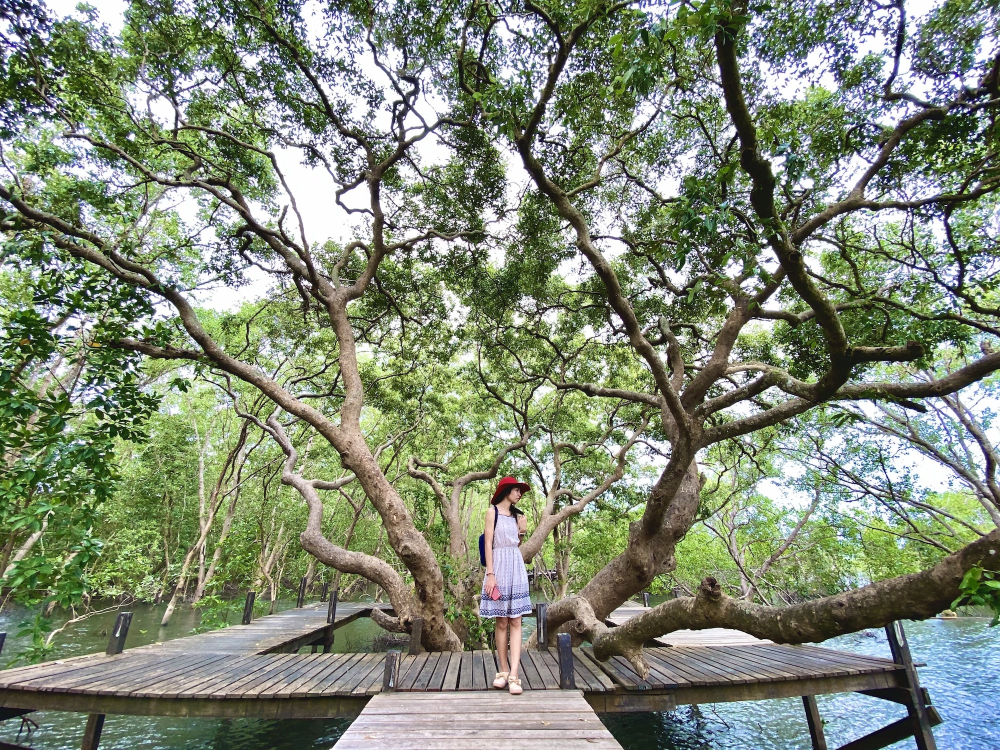 Iphone 11 Pro Max Ultra Wide 2