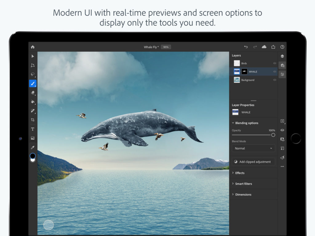 Adobe Photo Shop For Ipad Released 6