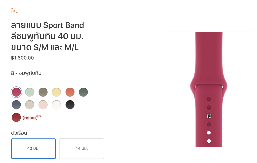 Apple Release Apple Watch Band New Color 11 2019 1