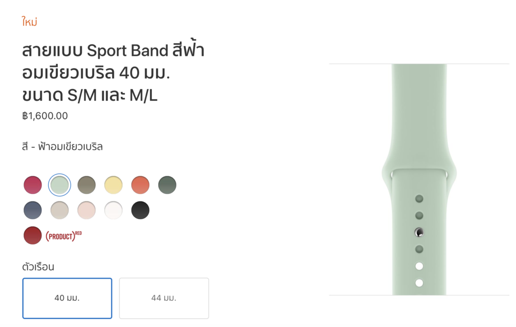 Apple Release Apple Watch Band New Color 11 2019 2
