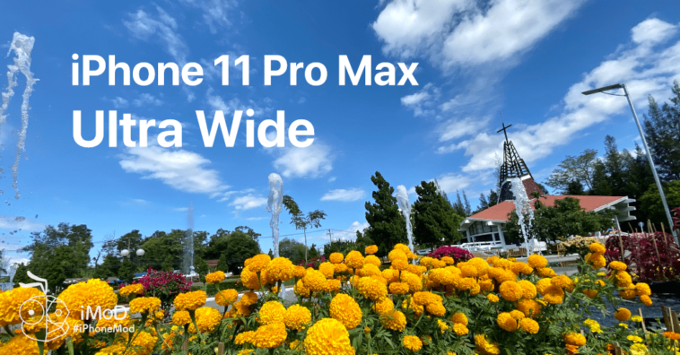 Iphone 11 Pro Max Ultrawide Outdoor Photo