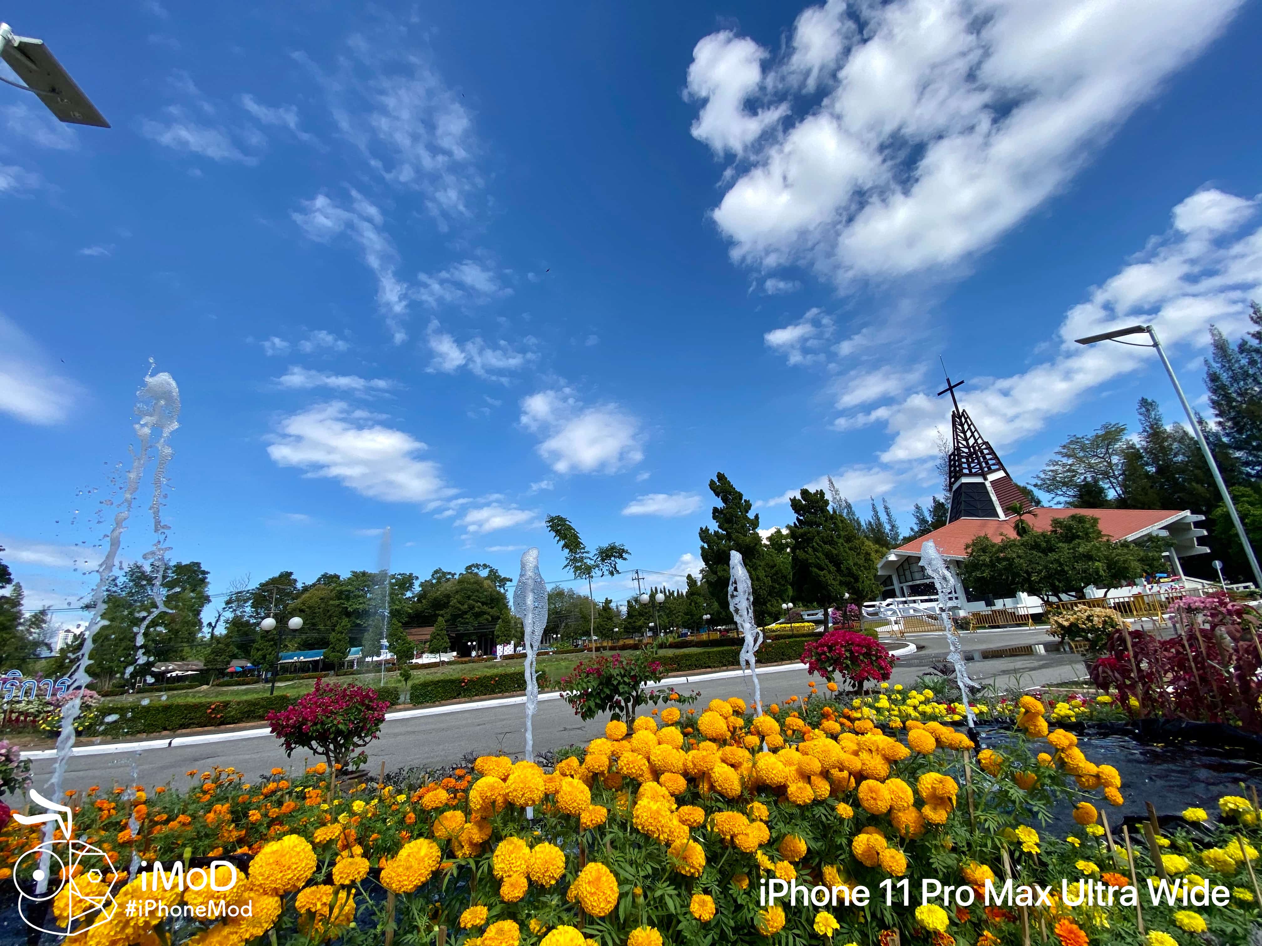 Iphone 11 Pro Max Ultrawide Outdoor Photo Img 11